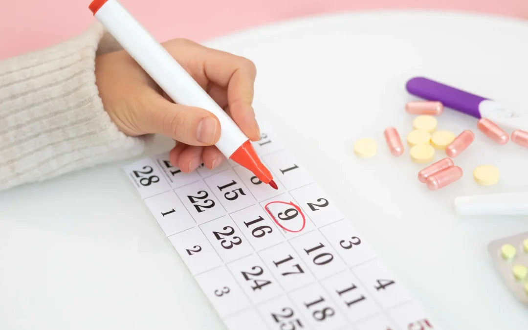 The Impact of Menstrual Cycle Phases on Blood Test Results