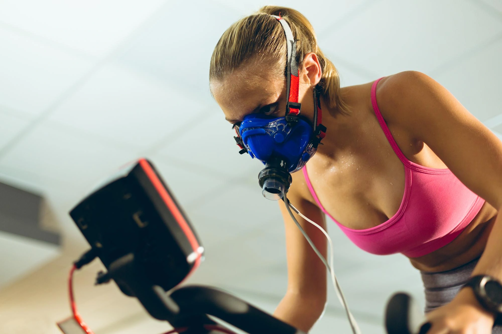 vo2 max