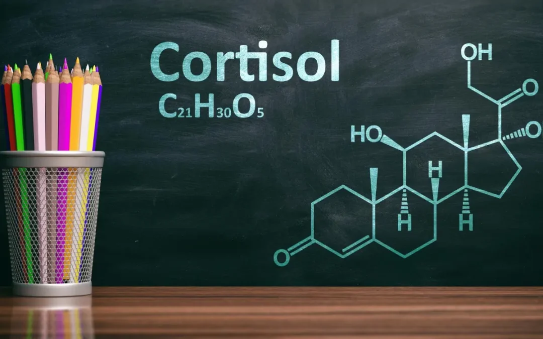 Cortisol FAQs: 9 Powerful Facts About Stress Hormones You Must Know