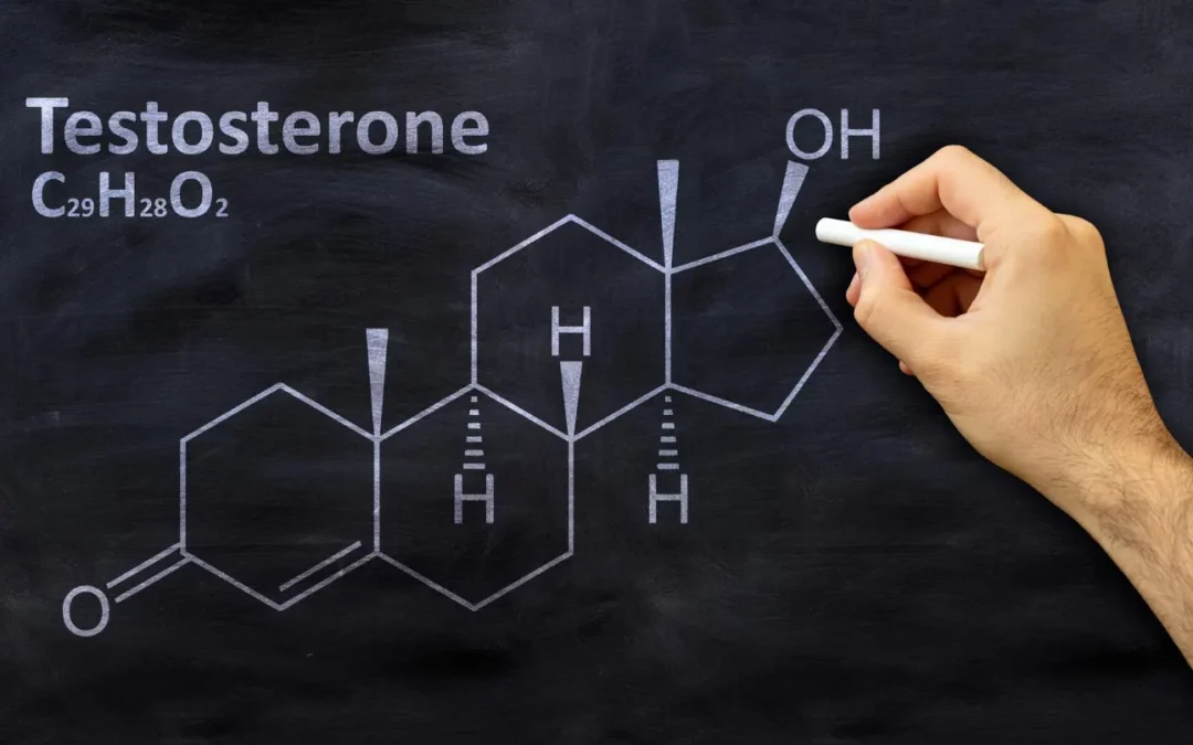 Guide: How to Support Healthy Testosterone Levels with Lifestyle Changes