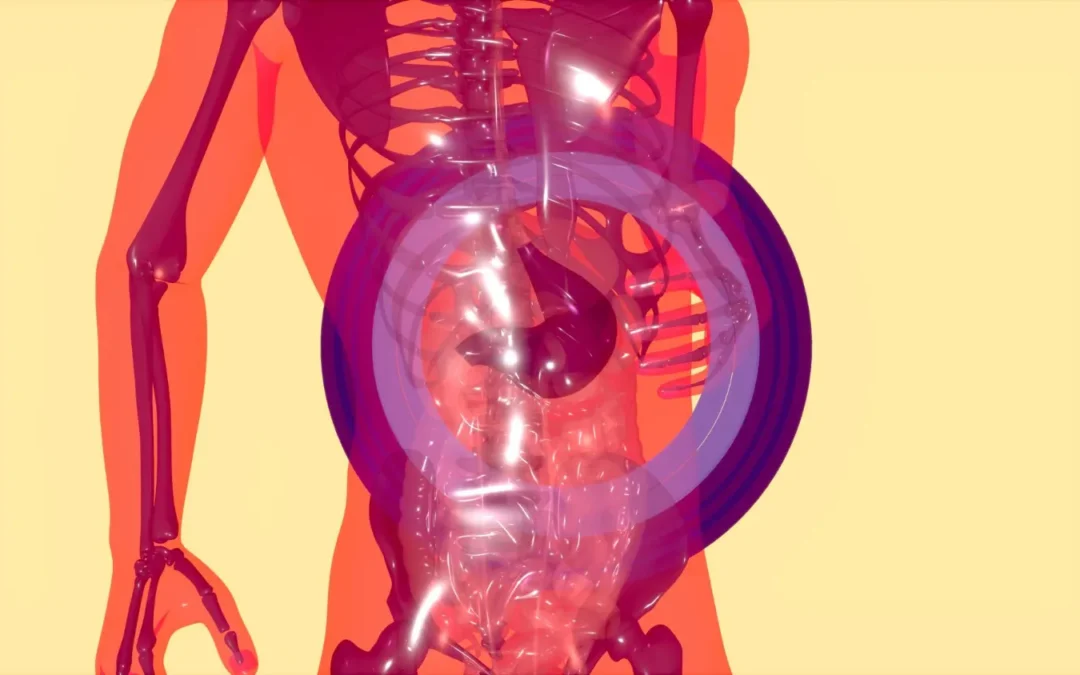 Accessory Spleen: Understanding Its Hidden Role in Health and Disease
