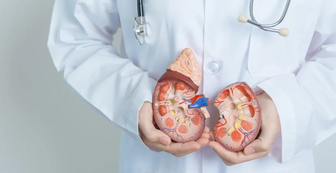 Adrenal Pseudocyst: Why Accurate Diagnosis Matters for Rare Adrenal Masses